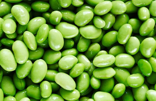 Dutch Soy