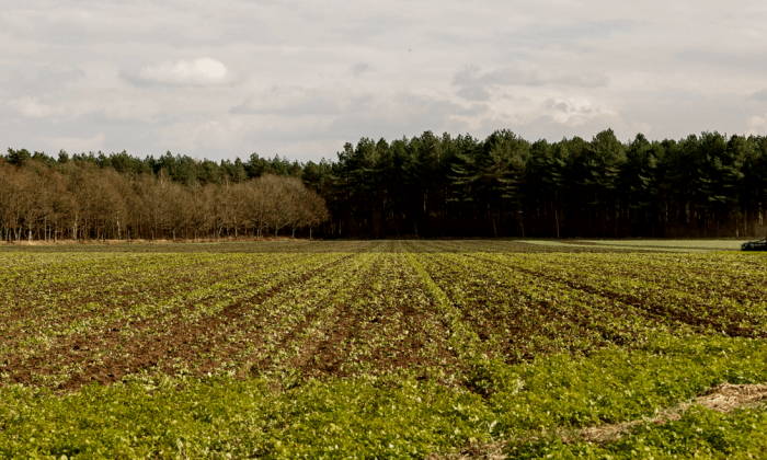 Duurzame landbouw en voedselproductie VP Landbouw