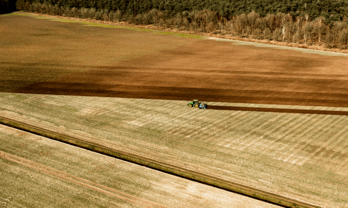 Regeneratieve landbouw bij VP Landbouw